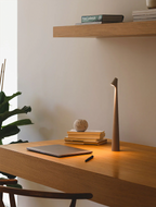 Nordic Portable Lamp - Modern Sculpting Light Africa Design