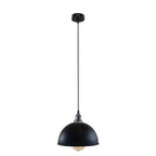 Industrial Black and Brass Pendant Light